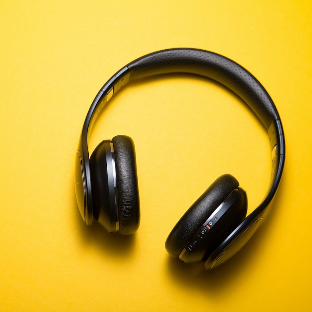 [AUR-STANC-BK] Auralis Studio ANC Headphones